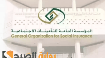 التأمينات الاجتماعية استعلام
