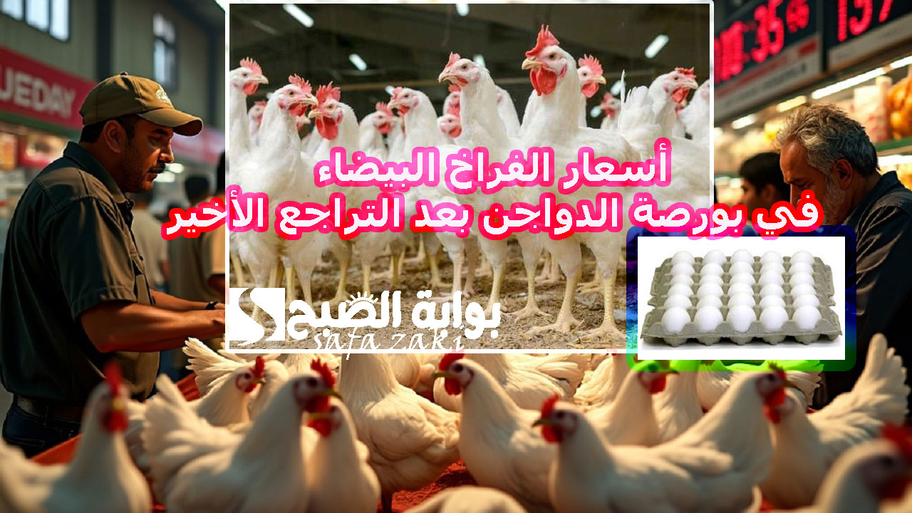الفرخة وصلت كام ؟.. أسعار الفراخ البيضاء في بورصة الدواجن بعد التراجع الأخير اليوم الثلاثاء 19 نوفمبر 2024 واستقرار أسعار كرتونة البيض 4 الفرخة وصلت كام ؟.. أسعار الفراخ البيضاء في بورصة الدواجن بعد التراجع الأخير اليوم الثلاثاء 19 نوفمبر 2024 واستقرار أسعار كرتونة البيض