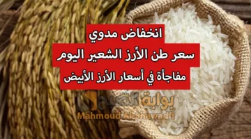 انخفاض مدوي. سعر طن الأرز الشعير اليوم عريض ورفيع الحبة ومفاجأة في أسعار الأرز الأبيض
