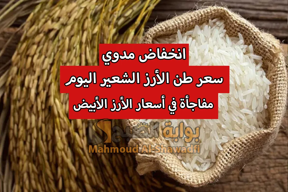 انخفاض مدوي.. سعر طن الأرز الشعير اليوم “عريض ورفيع” الحبة ومفاجأة في أسعار الأرز الأبيض