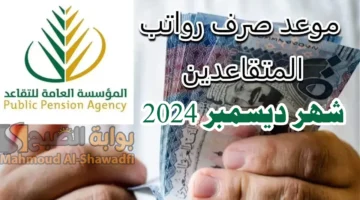 بدأ العد التنازلي. موعد نزول راتب التقاعد لشهر ديسمبر 2024 وخطوات الاستعلام عن الرواتب