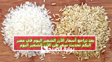 بعد تراجع أسعار الأرز الشعير اليوم في مصر اليكم تحديث سعر طن الأرز الشعير اليوم