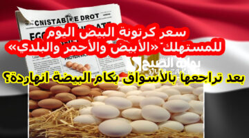 بعد تراجعها بالأسواق بكام البيضة انهاردة؟