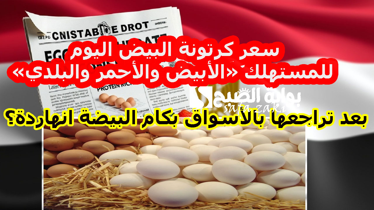 بعد تراجعها بالأسواق بكام البيضة انهاردة؟ .. سعر كرتونة البيض اليوم للمستهلك «الأبيض والأحمر والبلدي» اليوم الأربعاء 20 نوفمبر 2024