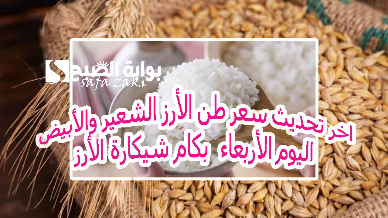 بكام أرز “رفيع وعريض الحبة” .. اخر تحديث سعر طن الأرز الشعير والأبيض اليوم الأربعاء 13 نوفمبر 2024  بكام شيكارة الأرز