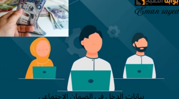 بيانات الدخل في الضمان الاجتماعي