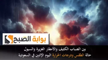 بين الضباب الكثيف والأمطار الغزيرة والسيول. حالة الطقس ودرجات الحرارة اليوم الإثنين في السعودية