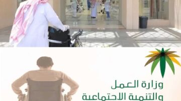 تاهيل1 2