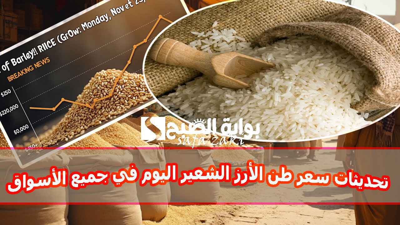 بكام “عريض و رفيع الحبة” .. تحديثات سعر طن الأرز الشعير اليوم الاثنين 25 نوفمبر 2024 في جميع الأسواق بعد نهاية موسم الحصاد