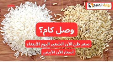 تراجع أسعار الأرز الشعير اليوم. كم هو سعر طن الأرز الشعير اليوم الخميس 28 11 2024 والأبيض