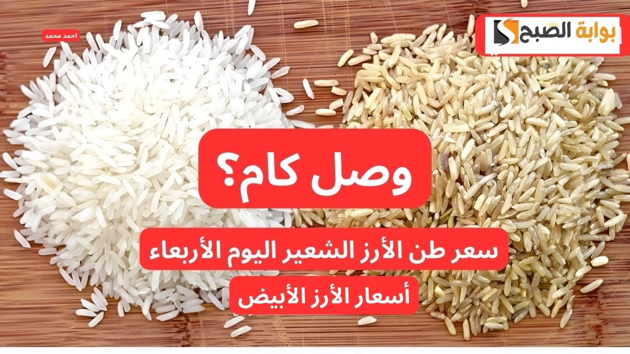 تراجع أسعار الأرز الشعير اليوم.. كم هو سعر طن الأرز الشعير اليوم الخميس 28-11-2024 والأبيض 2 تراجع أسعار الأرز الشعير اليوم.. كم هو سعر طن الأرز الشعير اليوم الخميس 28-11-2024 والأبيض