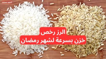 تراجع حاد في أسعار الأرز الشعير اليوم. سعر طن الأرز الشعير اليوم الجمعة 29 11 2024 في الأسواق