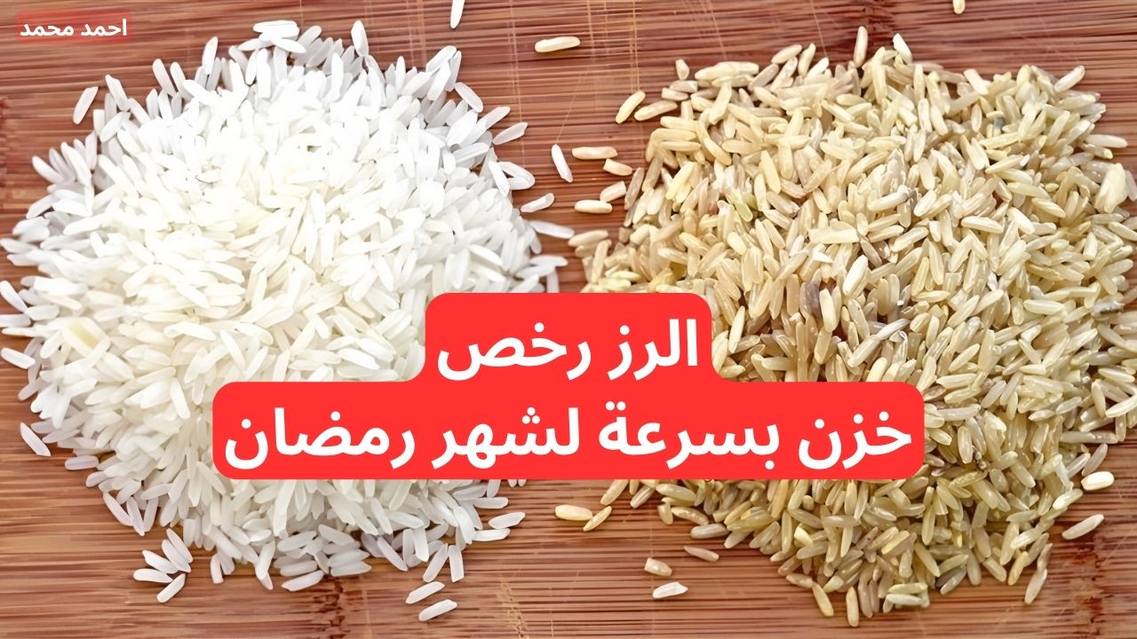 "تراجع حاد في أسعار الأرز الشعير اليوم".. سعر طن الأرز الشعير اليوم الجمعة 29-11-2024 في الأسواق 2 “تراجع حاد في أسعار الأرز الشعير اليوم”.. سعر طن الأرز الشعير اليوم الجمعة 29-11-2024 في الأسواق