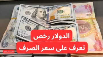 تراجع سعر الدولار مقابل الدينار العراقي اليوم. 100 دولار كم دينار عراقي؟