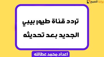 تردد قناة طيور بيبي الجديد 2024