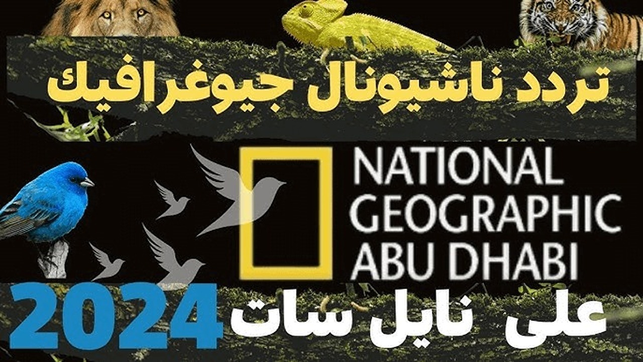بجودةHD.. تردد قناة ناشيونال جيوغرافيك أبوظبي 2024 للاستمتاع بأسرار الكون والحياة البرية