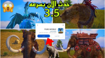 تصميم بدون عنوان 13