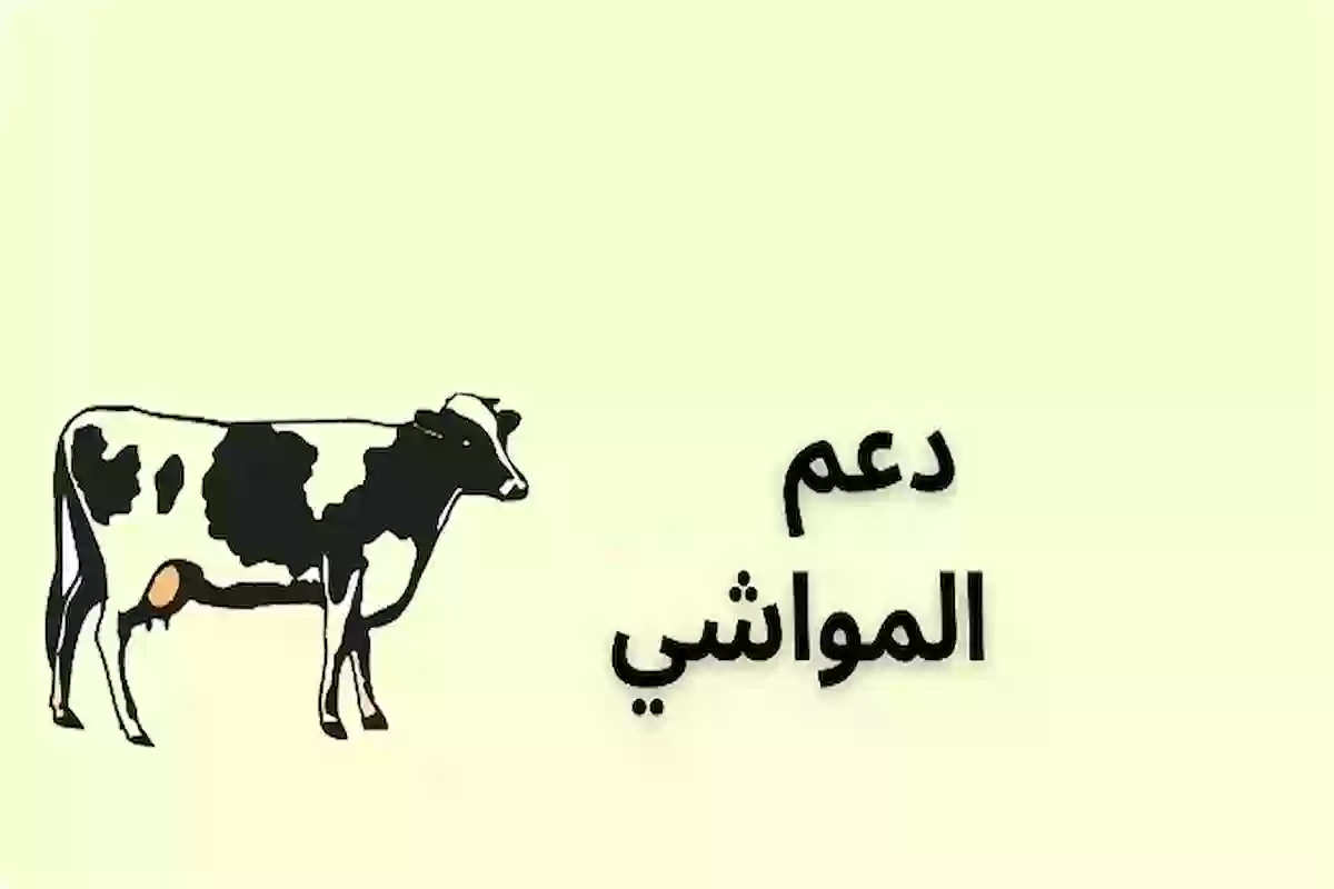 وزارة الزراعة السعودية تعلن موعد صرف دعم المواشي لشهر نوفمبر 2024 والشروط اللازمة