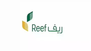 دعم ريف