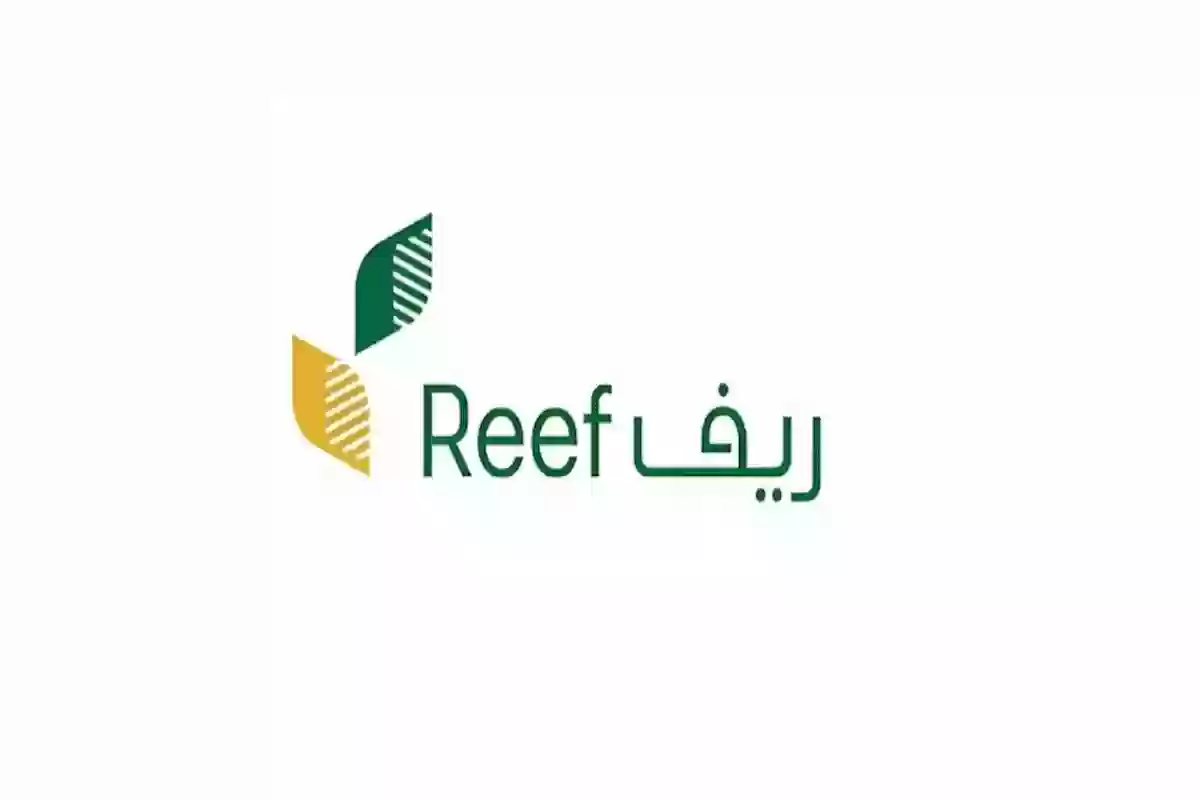 رابط الاستعلام عن دعم ريف 2024 للعاطلين والشروط اللازمة للقبول 5 رابط الاستعلام عن دعم ريف 2024 للعاطلين والشروط اللازمة للقبول