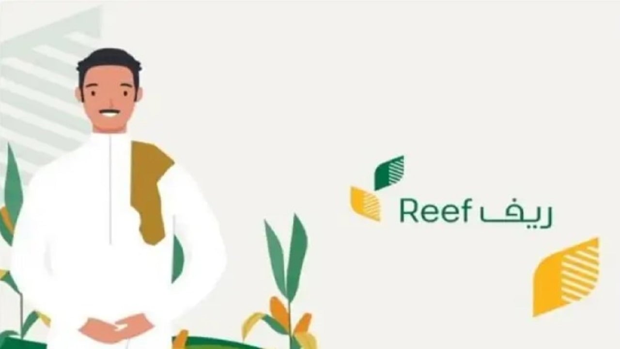 خطوات الاستعلام عن دعم ريف لهذا الشهر برقم الهوية عبر reef.gov وشروط الاستحقاف 5 خطوات الاستعلام عن دعم ريف لهذا الشهر برقم الهوية عبر reef.gov وشروط الاستحقاف