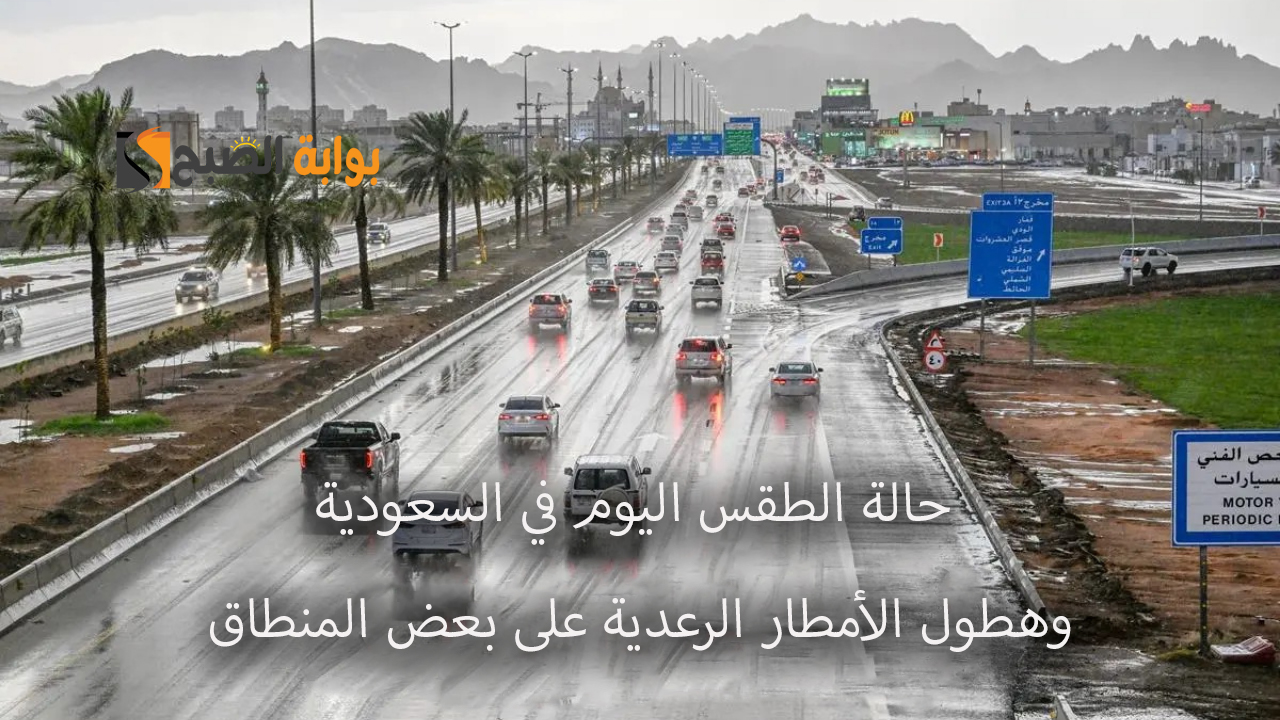 حالة الطقس اليوم في السعودية… ضباب وهطول الأمطار الرعدية على بعض المناطق