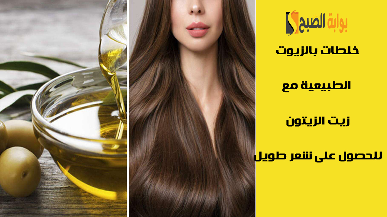خلطات طبيعية باستخدام زيت الزيتون للحصول على شعر طويل وكثيف بوصفة غير مكلفة