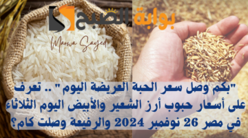 سعر أرز الشعير