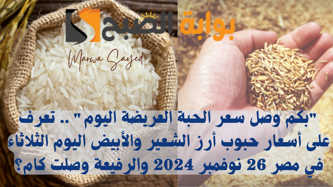 “بكم وصل سعر الحبة العريضة اليوم” .. تعرف على أسعار حبوب أرز الشعير والأبيض اليوم الثلاثاء في مصر 26 نوفمبر 2024 والرفيعة وصلت كام