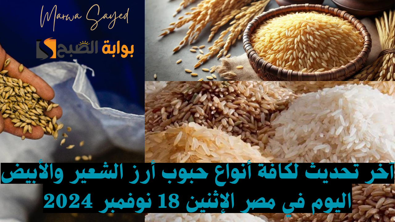 “بكام وصل سعر الكيلو النهاردة” .. آخر تحديث لكافة أنواع حبوب أرز الشعير والأبيض اليوم في مصر الإثنين 18 نوفمبر 2024