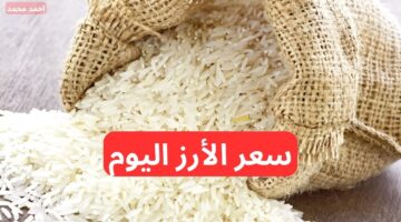 سعر الأرز الشعير الآن 2024. كم سعر طن الأرز الشعير اليوم الجمعة 29 11 2024؟