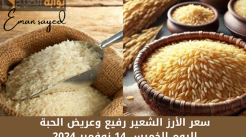 سعر الأرز الشعير رفيع وعريض الحبة اليوم الخميس 14 نوفمبر 2024