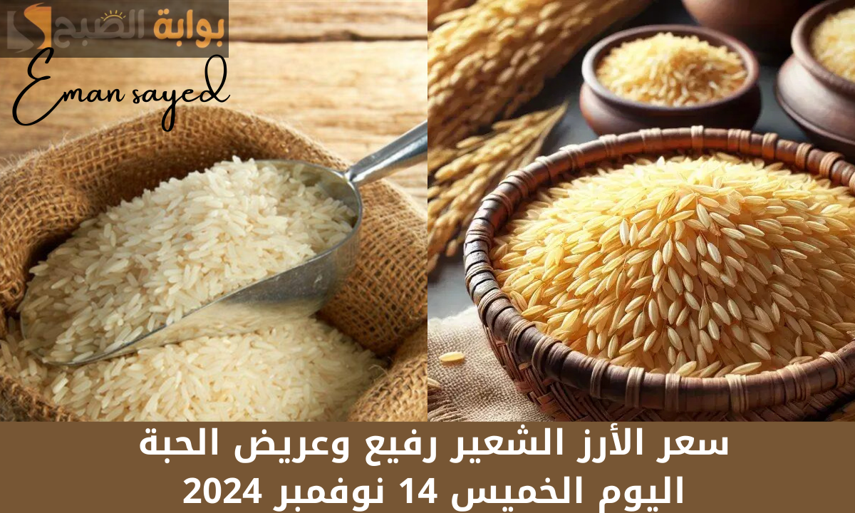 “تحديث يومي”.. سعر الأرز الشعير رفيع وعريض الحبة اليوم الخميس 14 نوفمبر 2024.. وأسعار السلع الغذائية