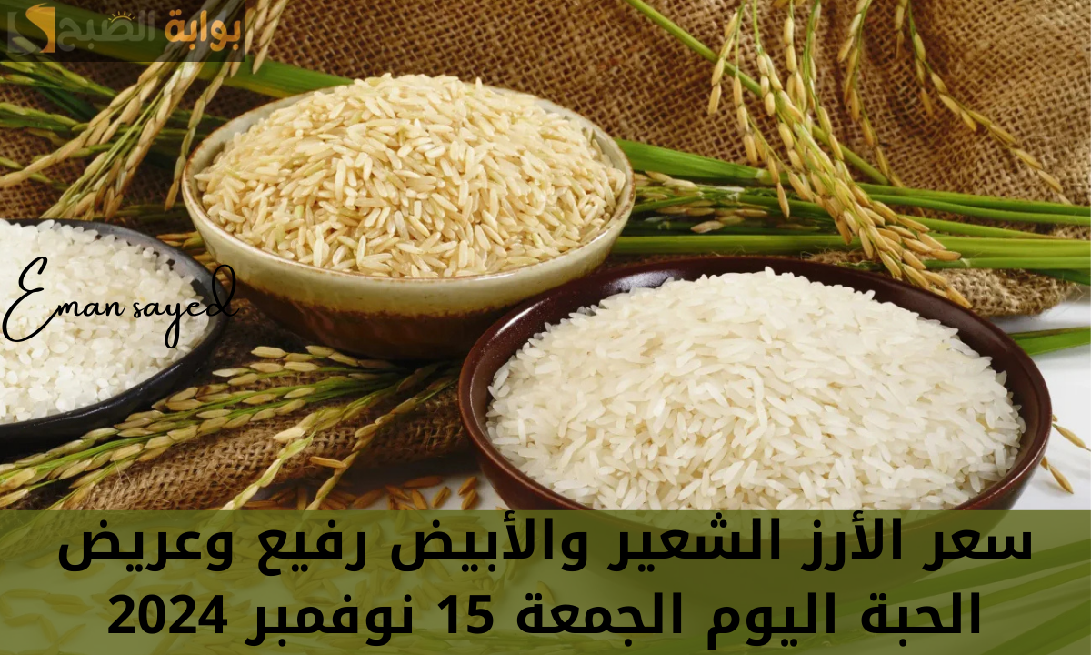 "بكام شيكارة الأرز".. سعر الأرز الشعير والأبيض رفيع وعريض الحبة وأسعار السلع الغذائية اليوم الجمعة 15 نوفمبر 2024 7 “بكام شيكارة الأرز”.. سعر الأرز الشعير والأبيض رفيع وعريض الحبة وأسعار السلع الغذائية اليوم الجمعة 15 نوفمبر 2024