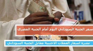 سعر الجنيه السوداني اليوم 27 نوفمبر 2024 أمام الجنيه المصري