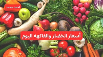سعر الخضار والفاكهه اليوم الخميس 7 نوفمبر 2021