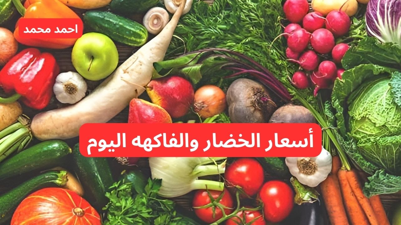 استقرار أسعار الخضروات والفواكه اليوم في أسواق الشرقية الخميس 7 نوفمبر 2024 5 استقرار أسعار الخضروات والفواكه اليوم في أسواق الشرقية الخميس 7 نوفمبر 2024
