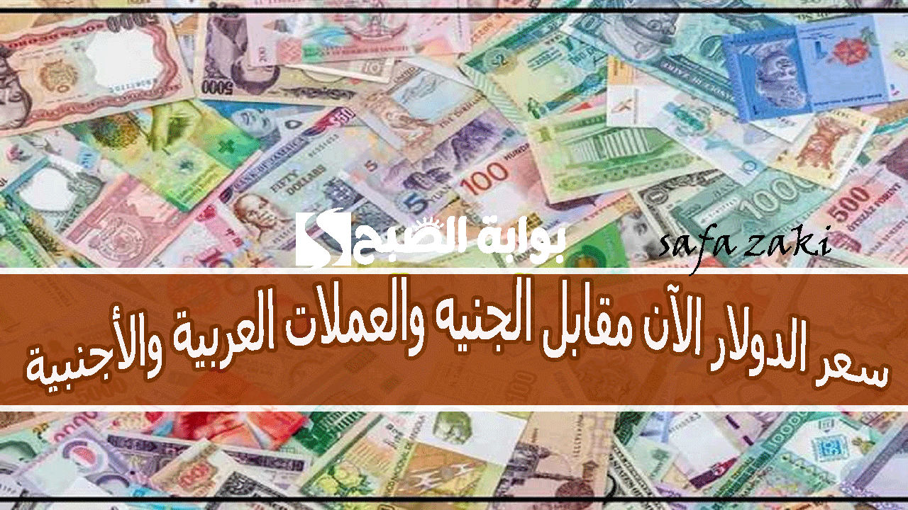 بكام انهاردة في البنك”USD/EGP”.. سعر الدولار الآن مقابل الجنيه والعملات العربية والأجنبية فى البنوك