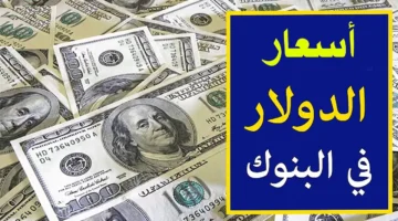 سعر الدولار مقابل الجنيه المصري اليوم بعد آخر انخفاض في البنوك