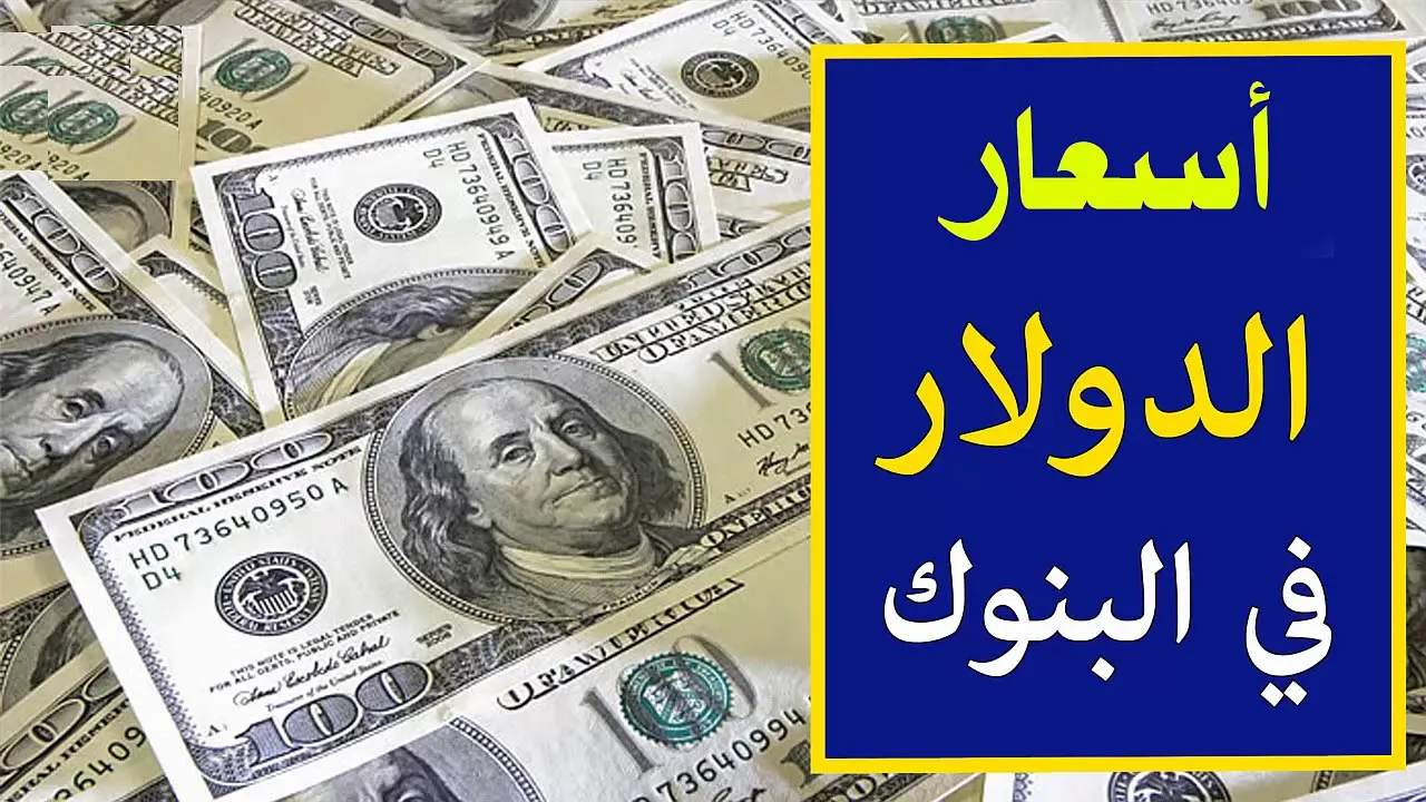 “تراجع جديد”.. سعر الدولار مقابل الجنيه المصري اليوم بعد آخر انخفاض في البنوك