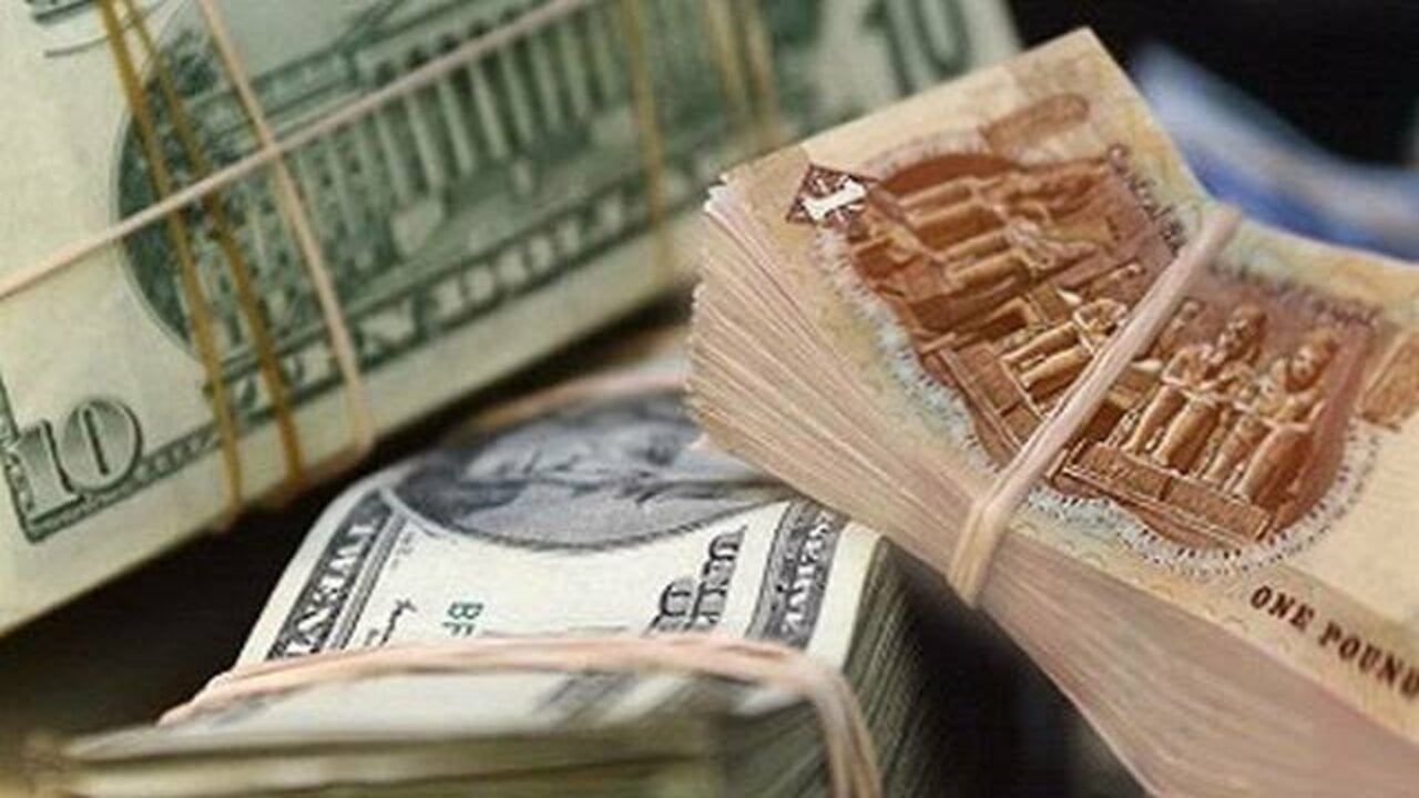 وصل كام بعد آخر زيادة.. سعر الدولار مقابل الجنيه المصري اليوم الثلاثاء 19/11/2024 في البنوك 2 وصل كام بعد آخر زيادة.. سعر الدولار مقابل الجنيه المصري اليوم الثلاثاء 19/11/2024 في البنوك
