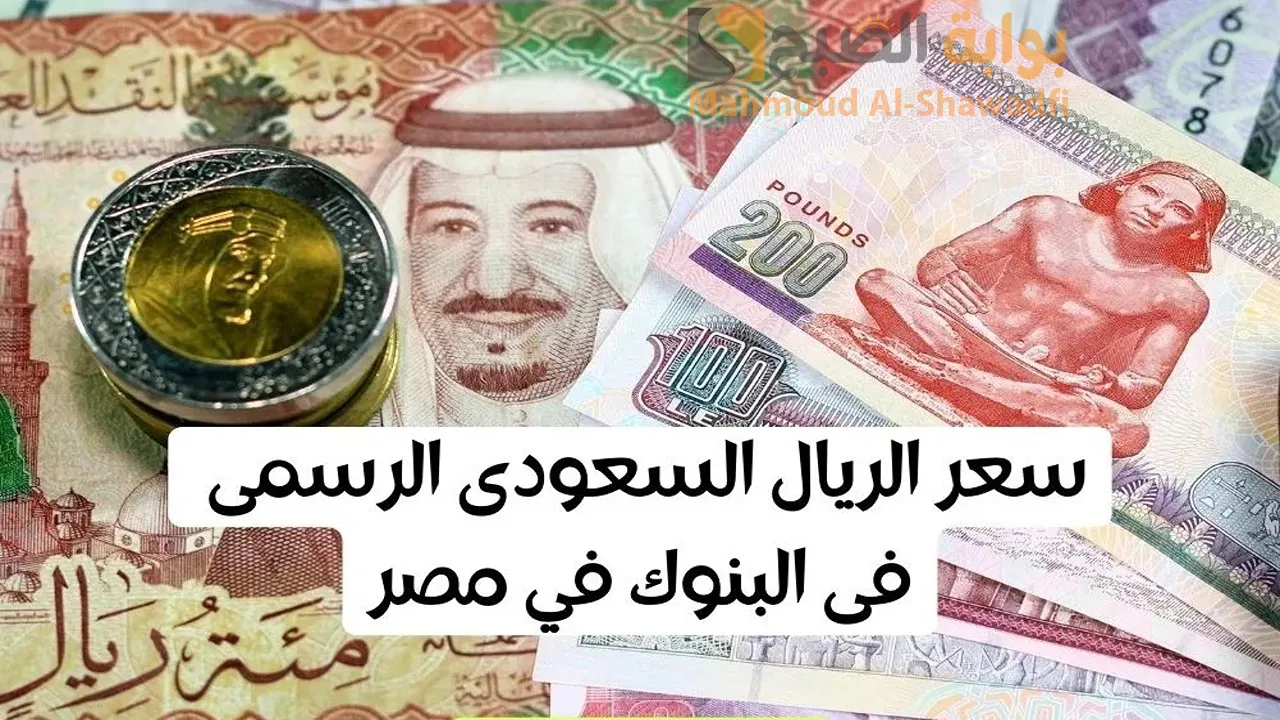 “آخر تحديث”.. سعر الريال السعودي مقابل الجنيه المصري اليوم الاثنين 18 نوفمبر 2024 ببداية التعاملات