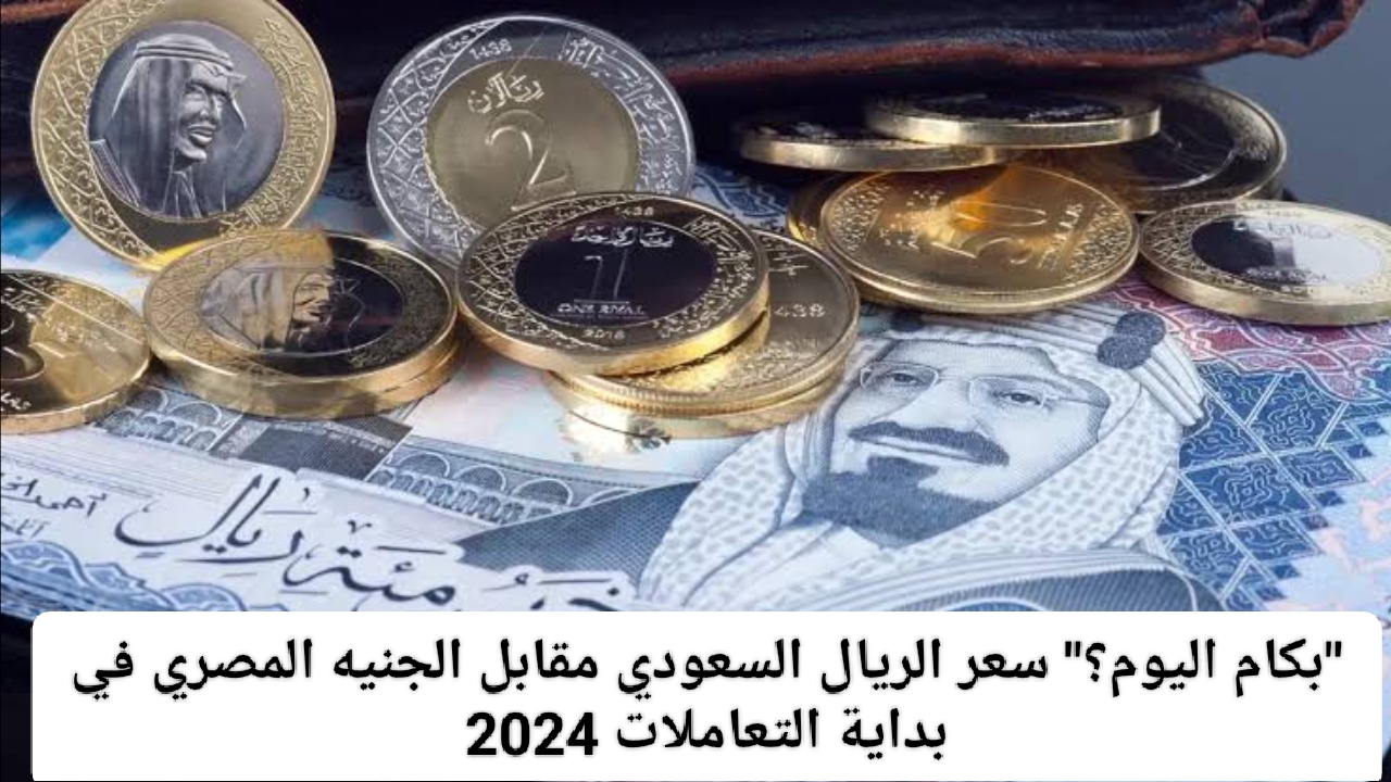 بكام النهارده؟.. سعر الريال مقابل الجنيه المصري اليوم الثلاثاء 12/11/2024 والدولار في بنوك مصر