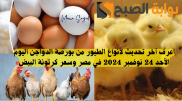 سعر الفراخ اليوم في بورصة الدواجن