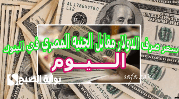 سعر صرف الدولار مقابل الجنيه المصري في البنوك