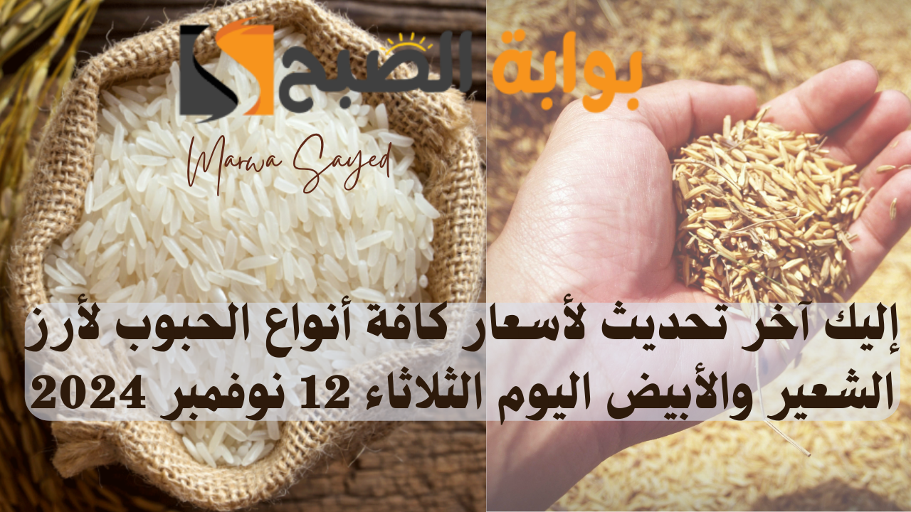 “بكم سعر كيلو الحبة العريضة النهاردة” .. إليك آخر تحديث لأسعار كافة أنواع الحبوب لأرز الشعير والأبيض اليوم الثلاثاء 12 نوفمبر 2024