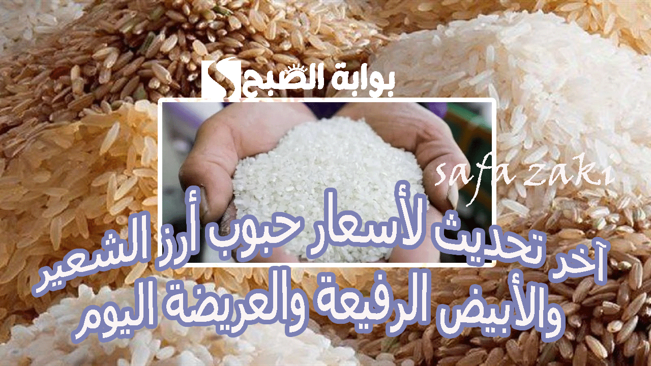 وصل كام الطن انهاردة “رفيع وعريض الحبة”.. سعر طن الأرز الشعير اليوم الإثنين 11 نوفمبر 2024 بالأسواق ومنافذ البيع