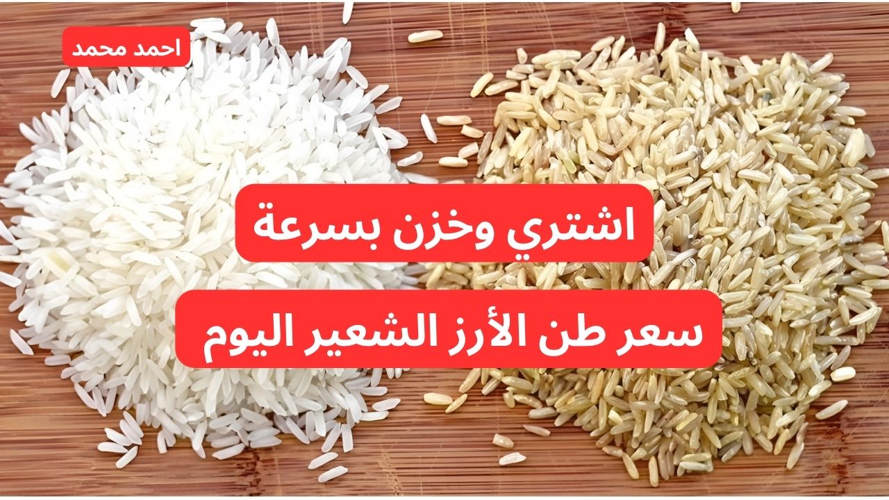 “الأرز يفاجئ الكل”.. سعر طن الأرز الشعير اليوم الخميس 14 نوفمبر 2024 رفيع وعريض الحبة