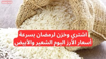 سعر طن الأرز الشعير اليوم السبت 29 11 2024. أسعار الأرز الشعير اليوم