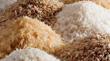 سعر طن الأرز الشعير اليوم السبت
